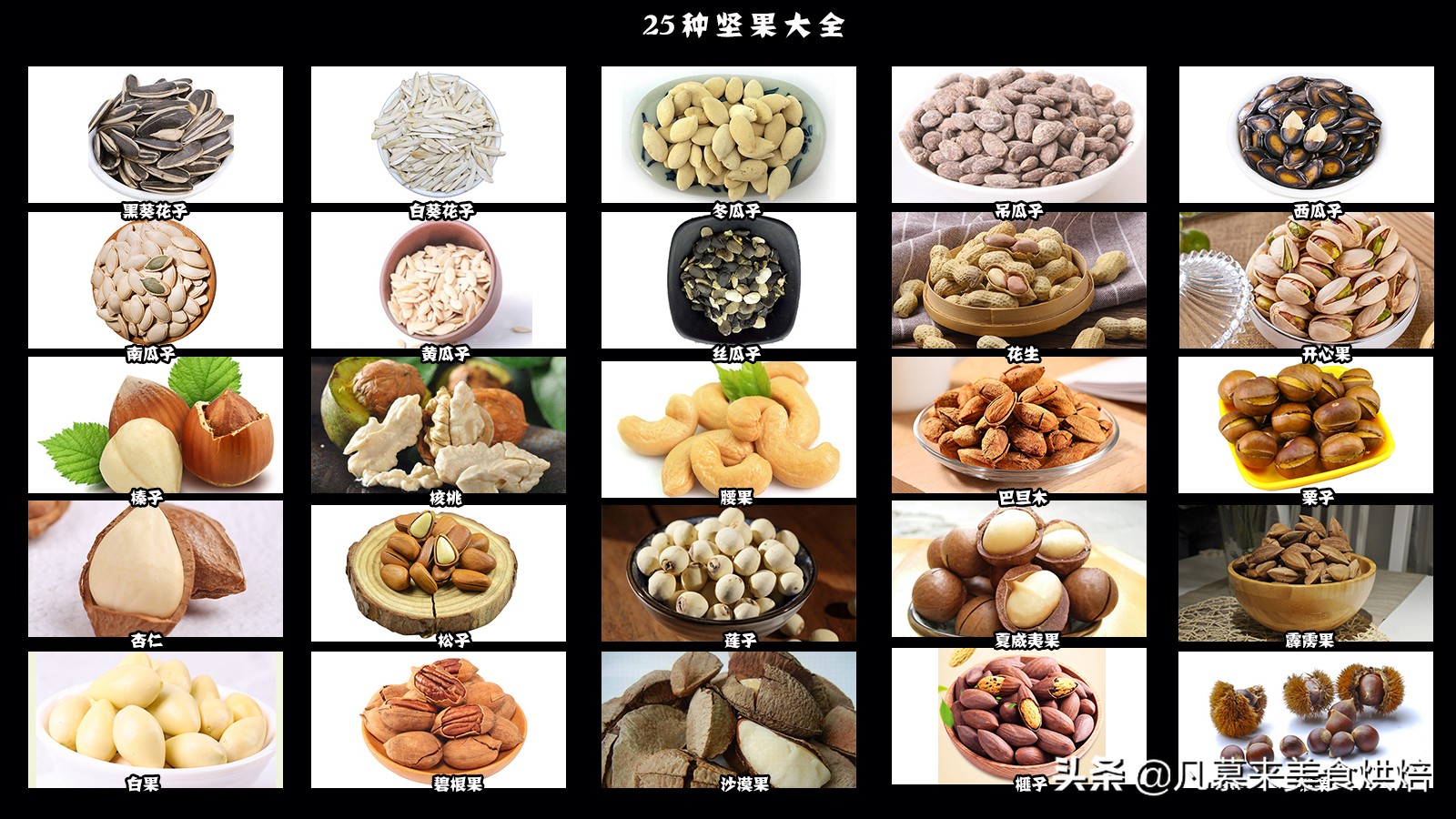 堅果類食品有哪些？25種堅果大全你都認(rèn)識嗎？堅果的吃法有哪些