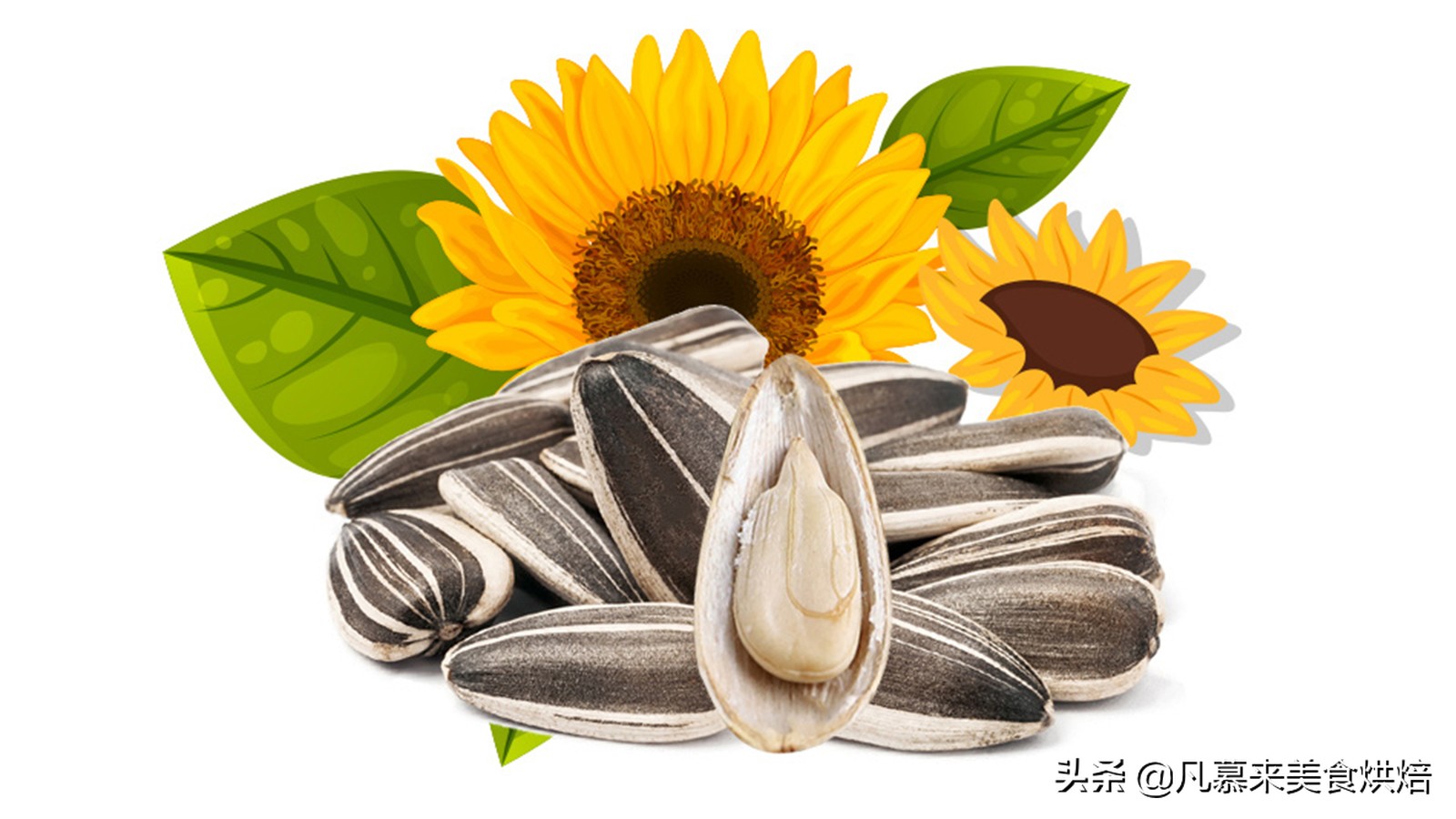 堅果類食品有哪些？25種堅果大全你都認(rèn)識嗎？堅果的吃法有哪些