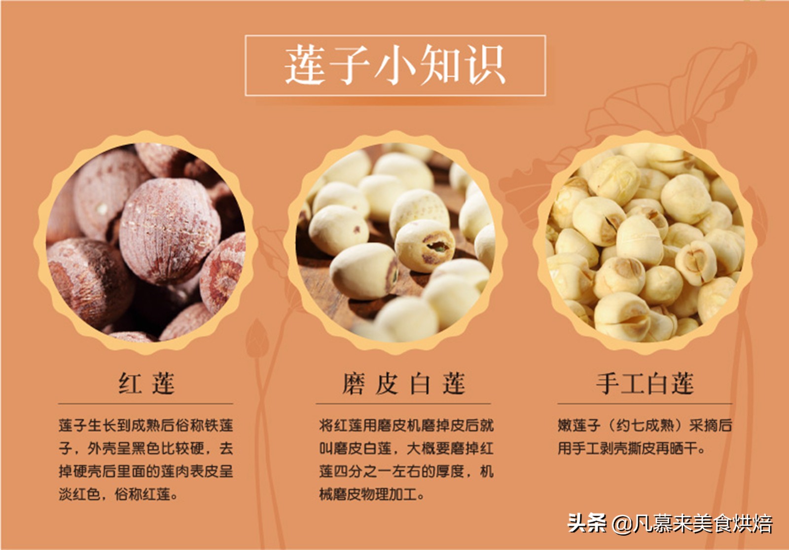 堅果類食品有哪些？25種堅果大全你都認(rèn)識嗎？堅果的吃法有哪些