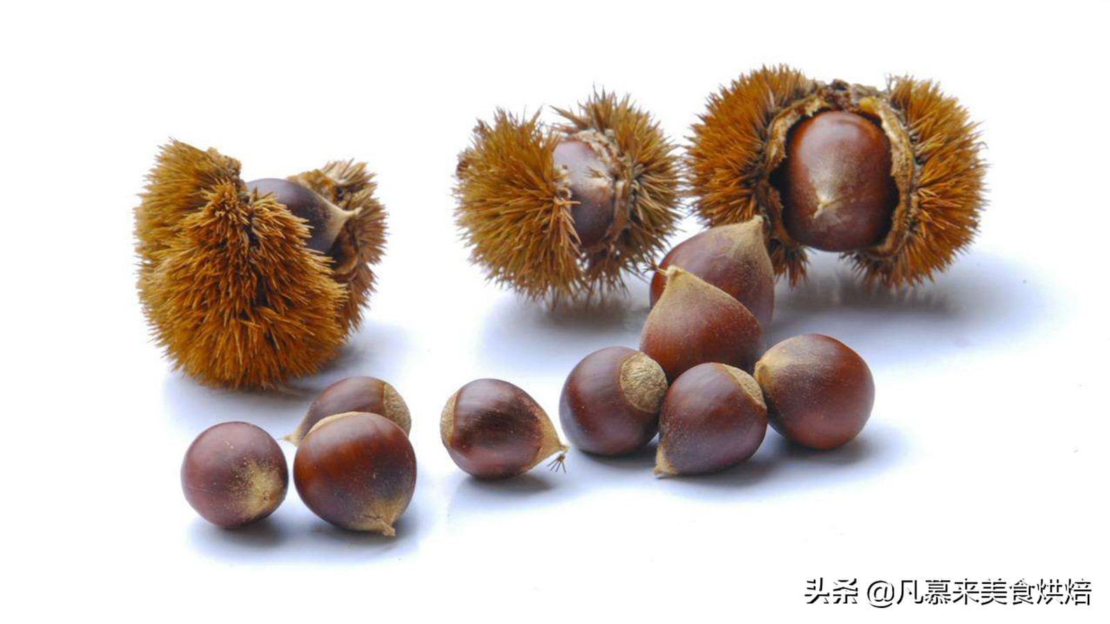 堅果類食品有哪些？25種堅果大全你都認(rèn)識嗎？堅果的吃法有哪些