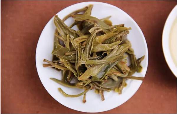 老同志普洱茶2021價格表(老同志海灣普洱茶價格)