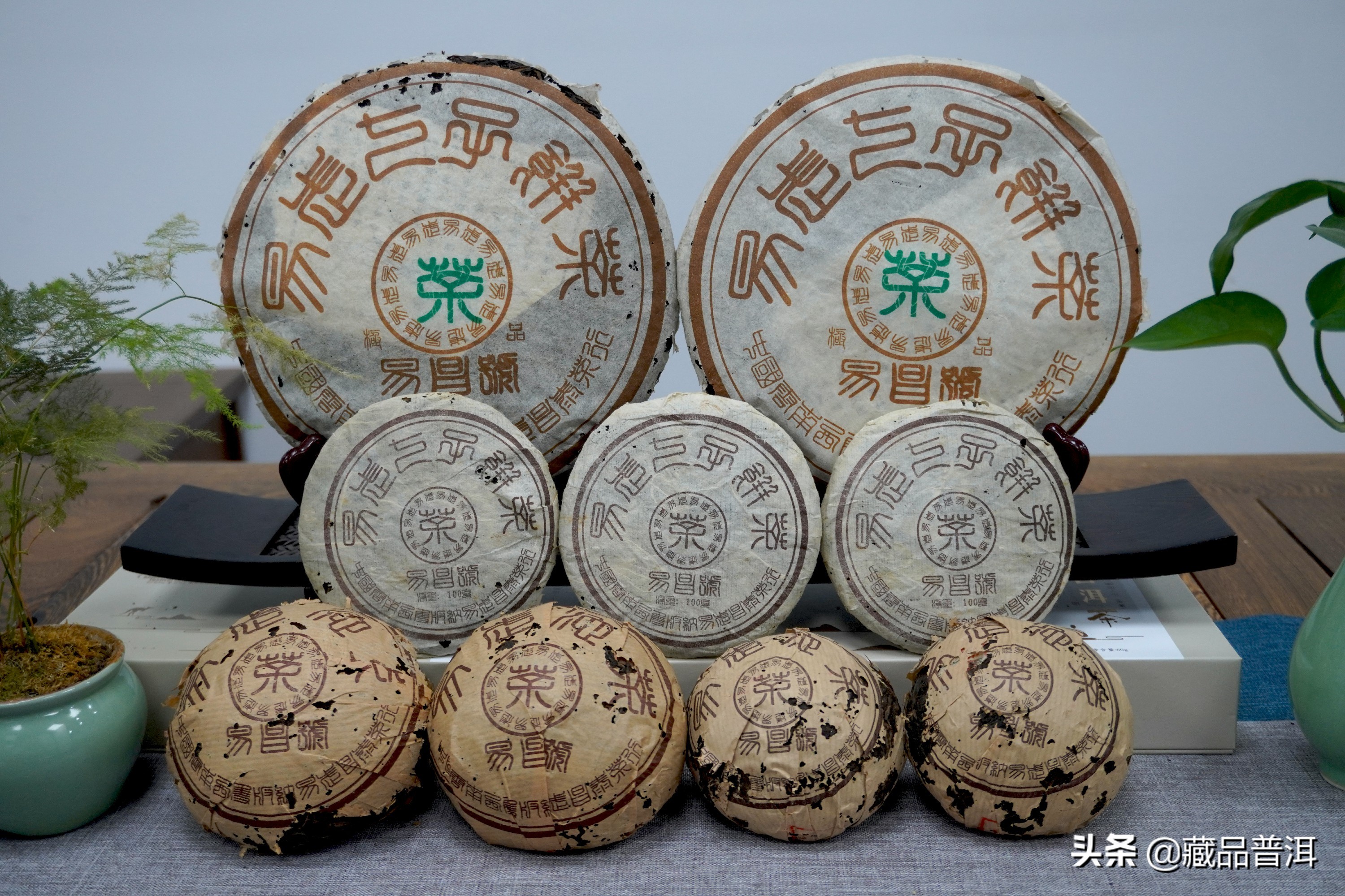 2021普洱茶品牌十大排行榜(普洱茶哪個牌子好又正宗)3