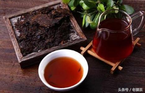 普洱茶養(yǎng)胃還是傷胃(普洱茶對(duì)胃好嗎)