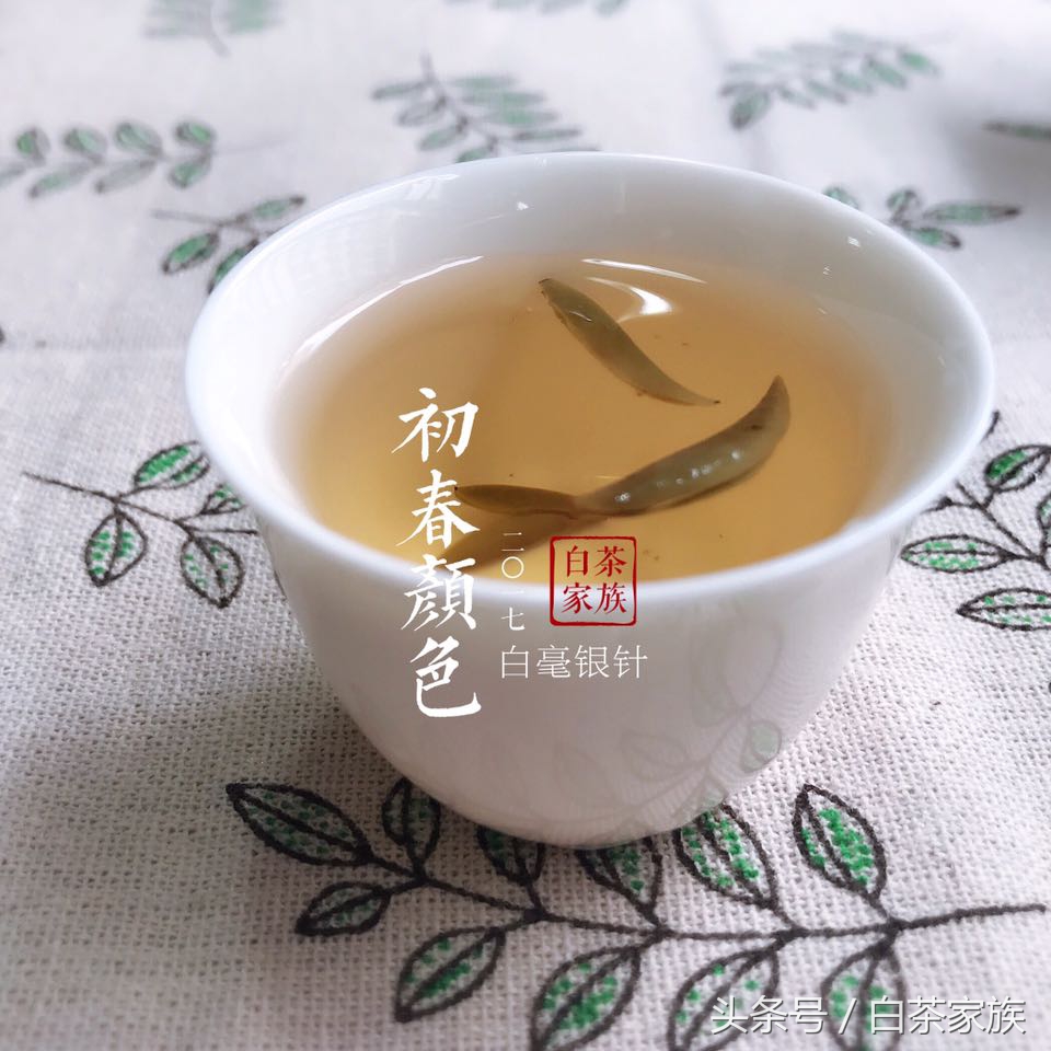 白茶的功效與作用有哪些(白茶有那些禁忌)