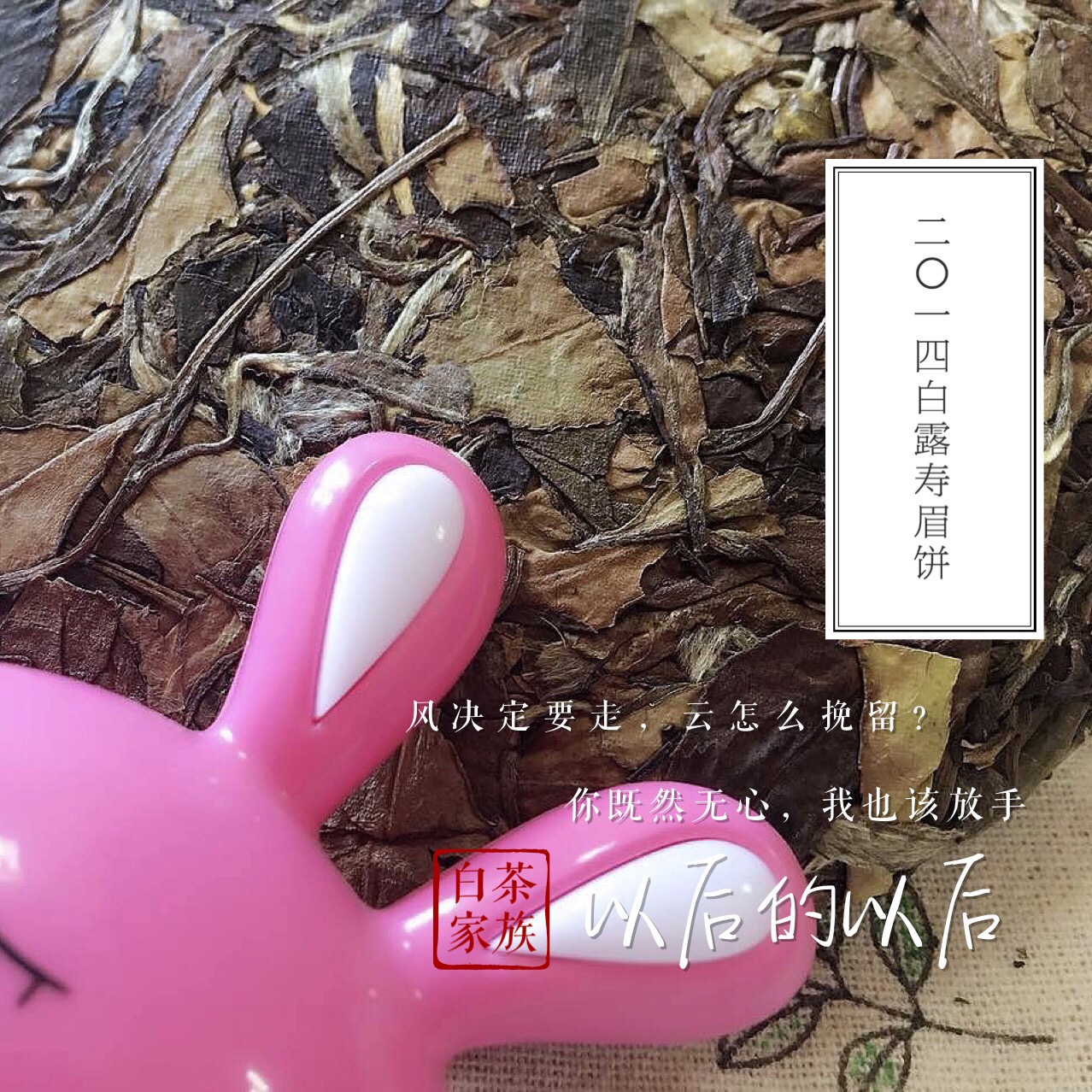 白茶的功效與作用有哪些(白茶有那些禁忌)