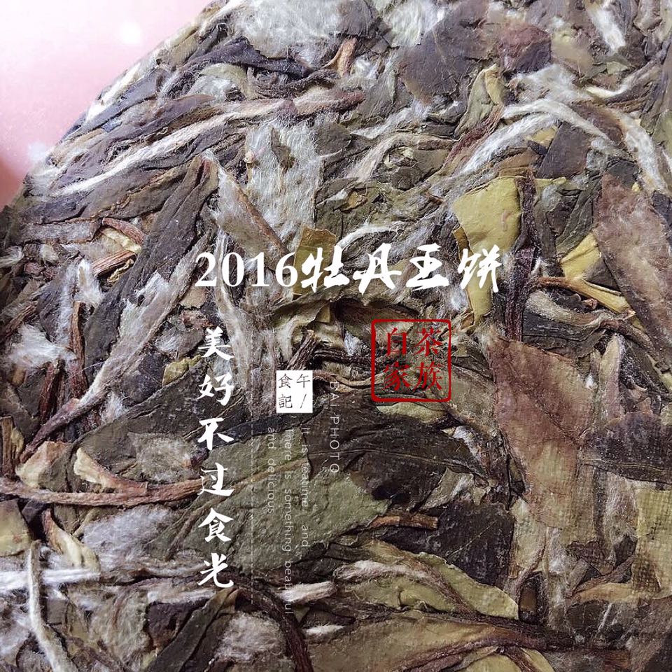白茶的功效與作用有哪些(白茶有那些禁忌)