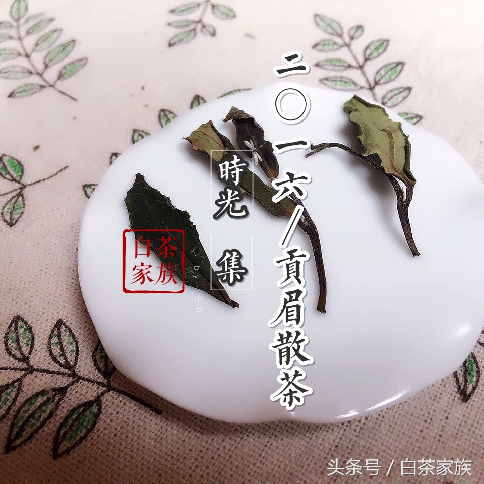 白茶的功效與作用有哪些(白茶有那些禁忌)