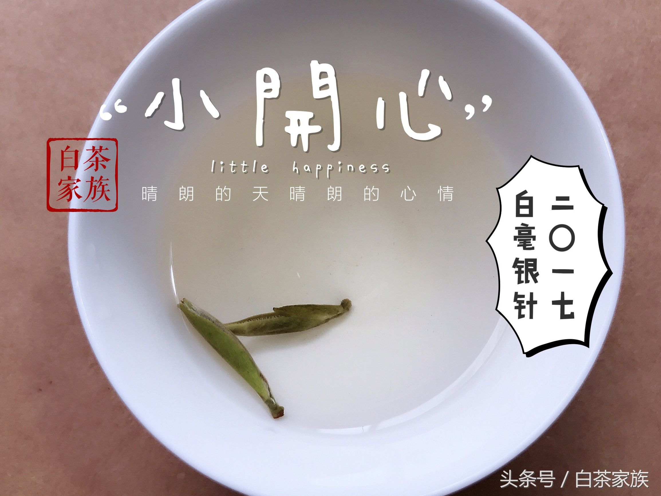 白茶的功效與作用有哪些(白茶有那些禁忌)