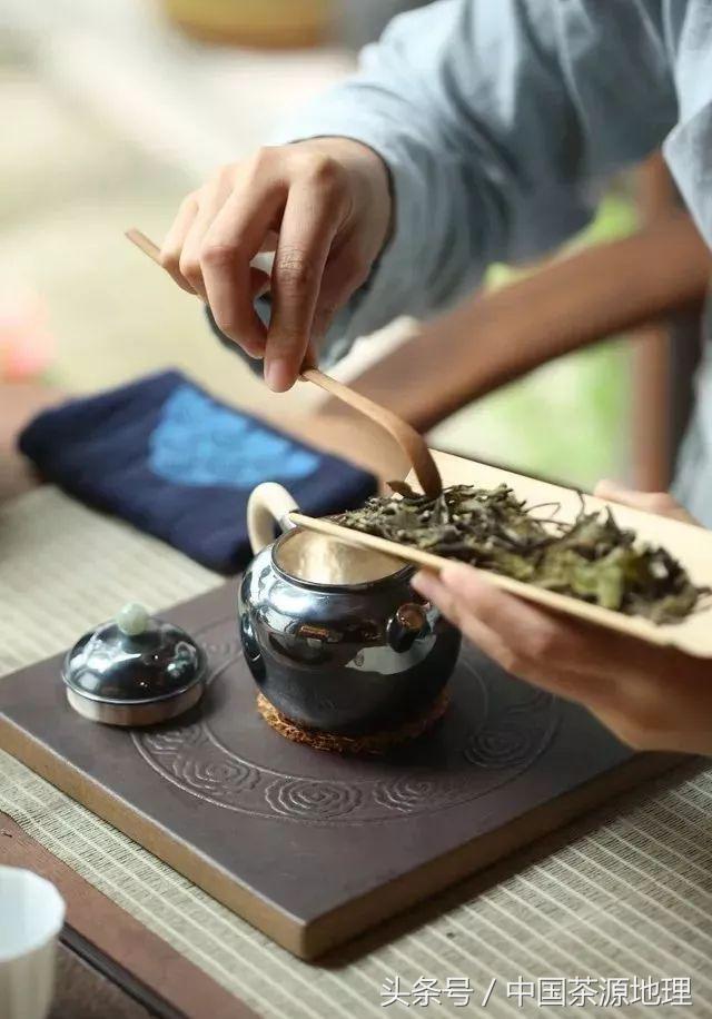茶餅怎么弄開(kāi)(茶餅應(yīng)該怎么開(kāi))