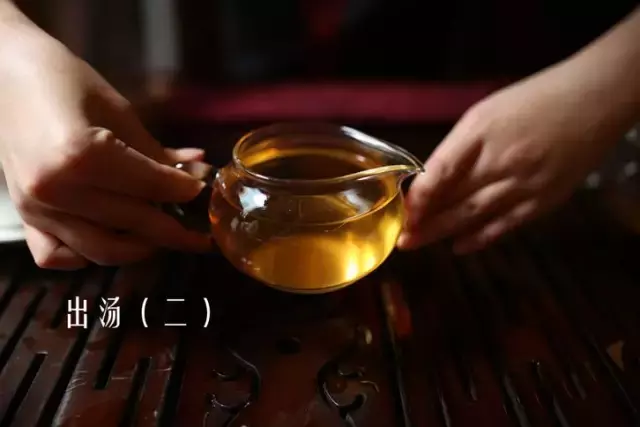 沖泡普洱茶的方法步驟(沖泡普洱茶的水溫多少)