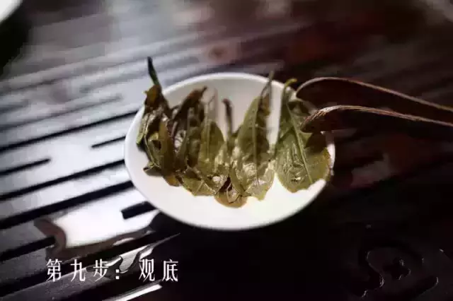 沖泡普洱茶的方法步驟(沖泡普洱茶的水溫多少)
