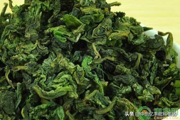 名茶碧螺春的產(chǎn)地是哪里（名茶碧螺春產(chǎn)地在哪個(gè)省）