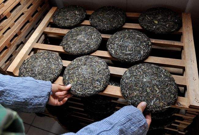 普洱茶功效與作用禁忌(喝普洱茶有什么功效和作用)