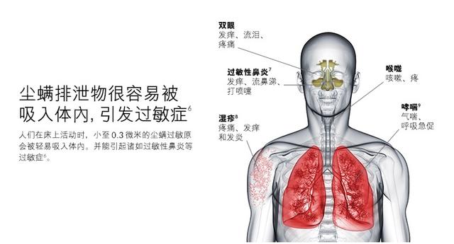 三款除螨儀測評，哪一款更值得購買？