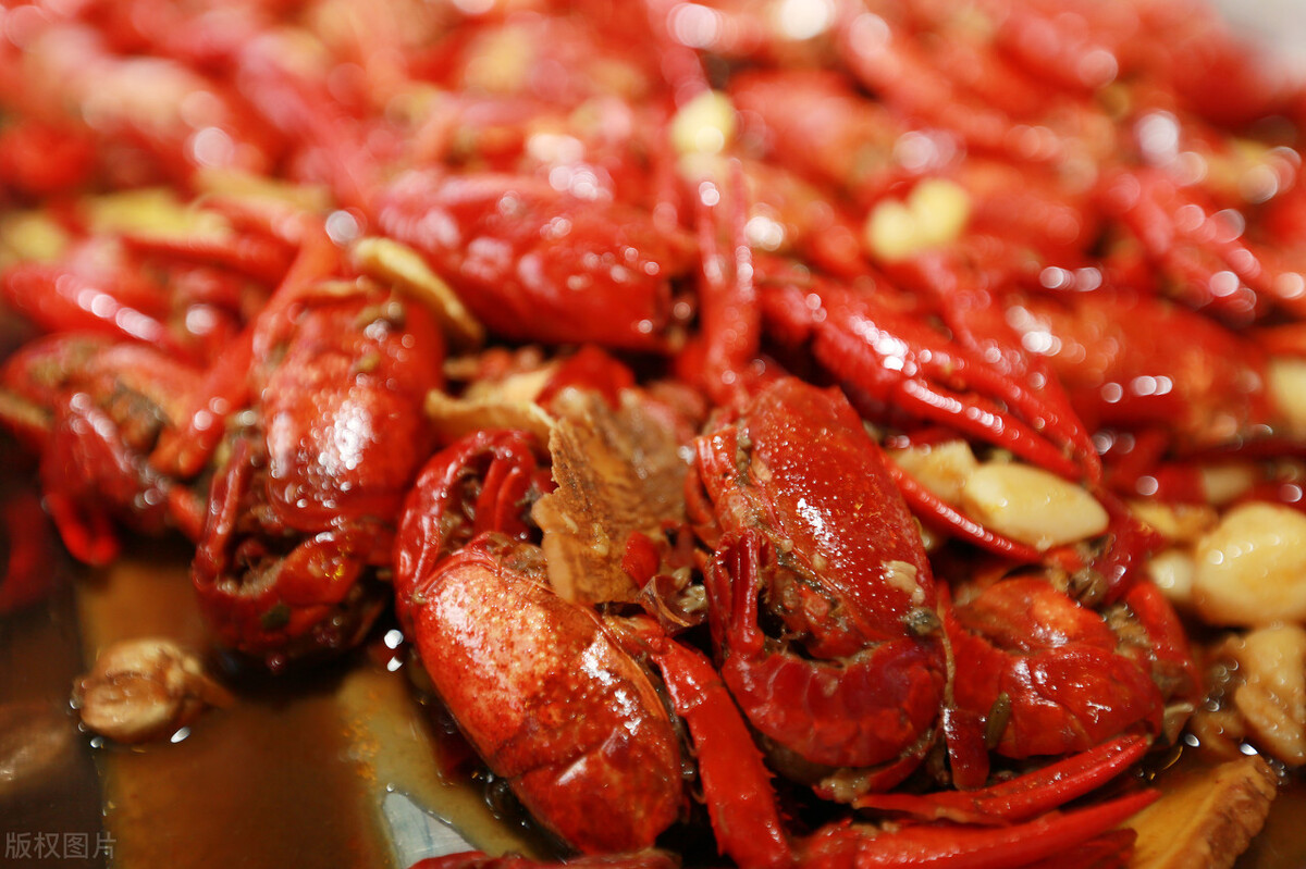 魚價(jià)又飄了！小龍蝦漲一倍，甲魚畝賺50萬(wàn)，魚農(nóng)理性養(yǎng)殖