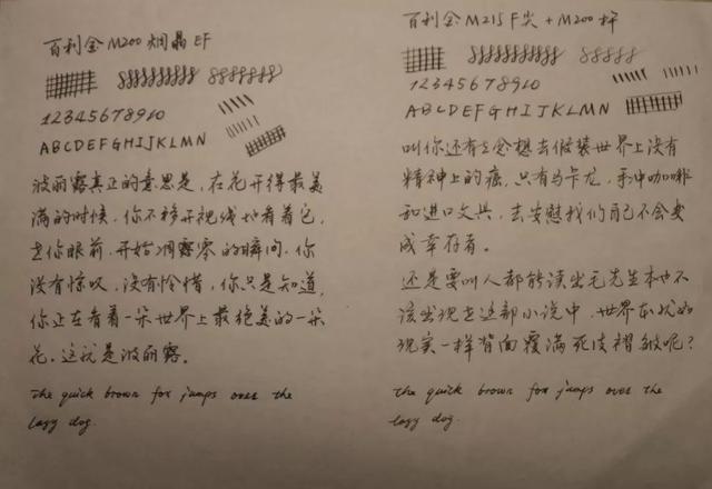 我的鳥筆初嘗試——幾支基本款現(xiàn)產(chǎn)百利金鋼筆對比評測