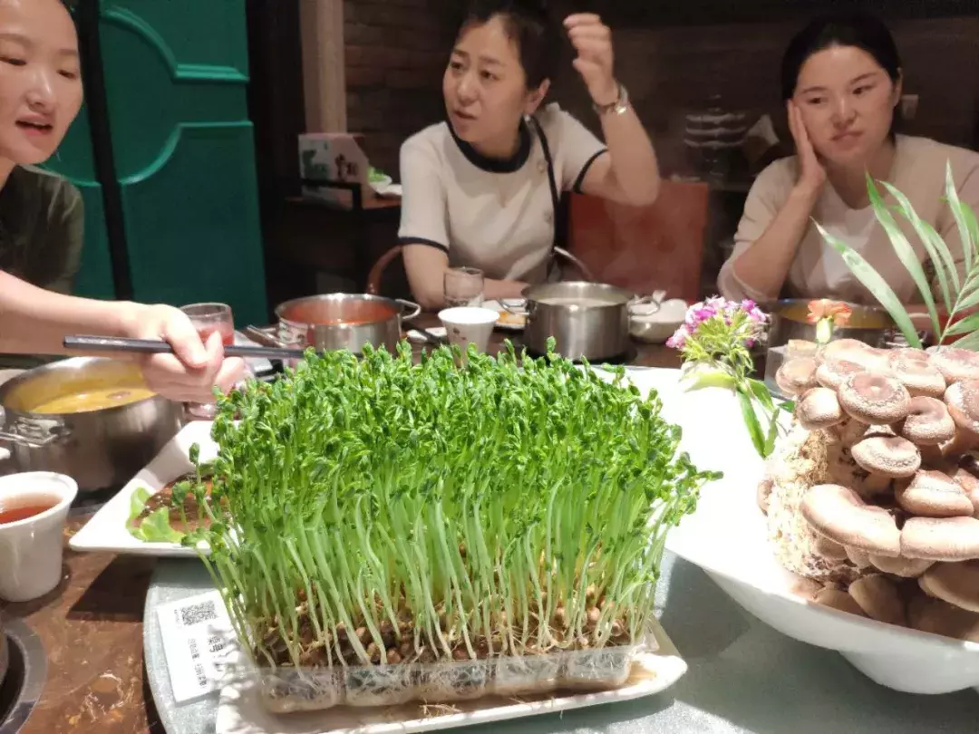 三四斤重的斑魚(yú)，只能削出40片魚(yú)片？無(wú)錫這家西北火鍋，不一般！