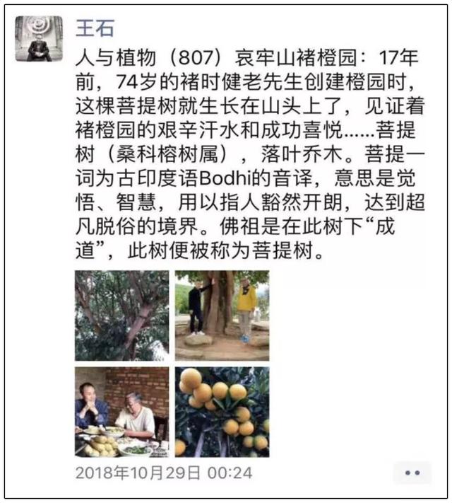人間再無褚時?。≌l成就了他，誰毀了他？