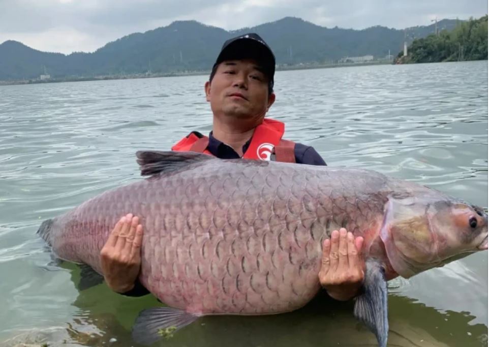 國內(nèi)魚竿企業(yè)哪家強(qiáng)？如果早點(diǎn)知道，你能少花很多冤枉錢