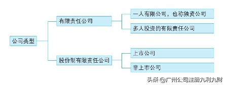 如何選擇公司類(lèi)型？分清各種公司的性質(zhì)