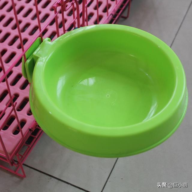 怎么選擇狗碗？狗狗的碗選得不好，喝水都能喝出病