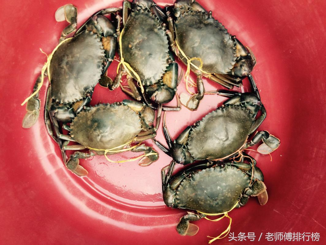 大閘蟹品牌六大排行榜，你吃過哪幾種？