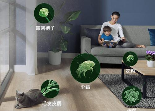 戴森V7 Mattress除螨器，家庭塵螨沒(méi)蹤跡