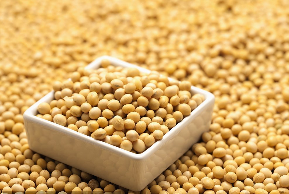 缺乏蛋白質有什么癥狀？這7種食物升糖慢、蛋白質超豐富！