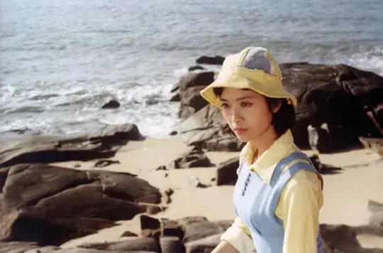 80年代好看的老電影(十部80年代最美的老電影)(38)