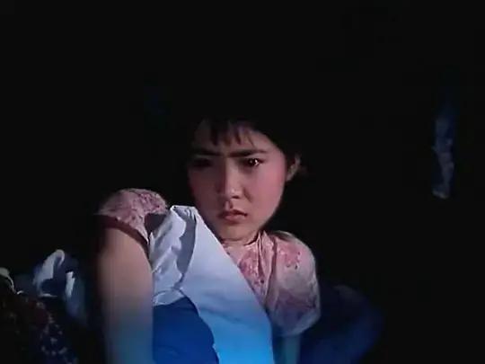 80年代好看的老電影(十部80年代最美的老電影)(12)