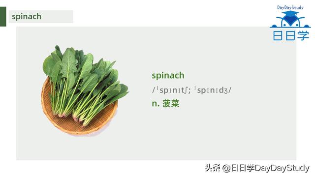 空心菜翻譯(為什么英文空心菜)(2)