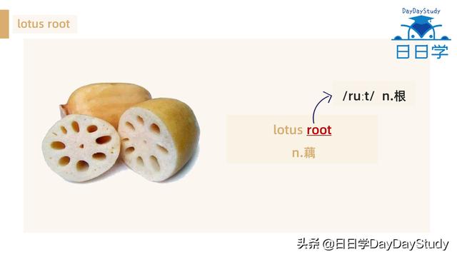 空心菜翻譯(為什么英文空心菜)(6)