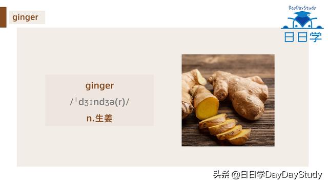 空心菜翻譯(為什么英文空心菜)(8)