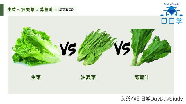 空心菜翻譯(為什么英文空心菜)(4)