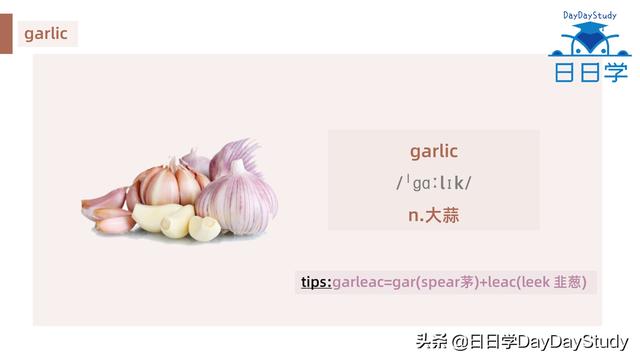 空心菜翻譯(為什么英文空心菜)(7)