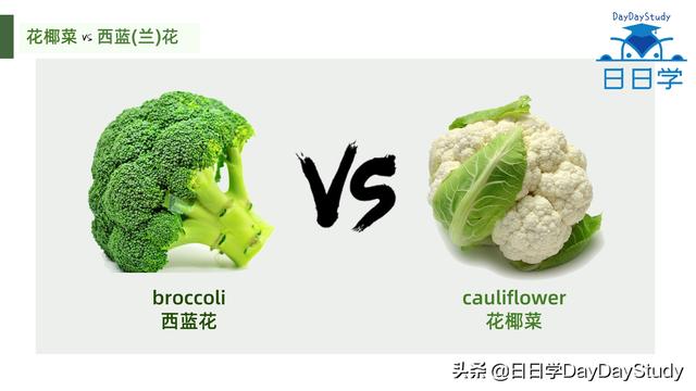空心菜翻譯(為什么英文空心菜)(3)