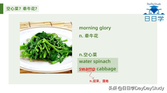 空心菜翻譯(為什么英文空心菜)(1)