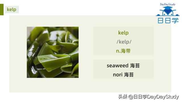 空心菜翻譯(為什么英文空心菜)(5)