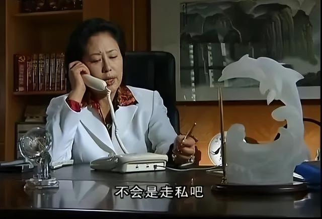 史上最全的十大反腐電視?。ㄅ牡锰鎸?shí)了這10部)(9)