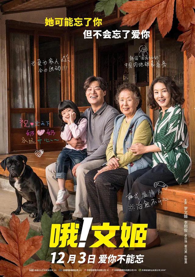 十部韓國9.0高分喜劇電影(10部韓國動作喜劇電影)(10)
