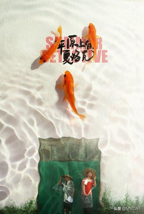 農(nóng)村題材的好看電影有哪些(25部國產(chǎn)農(nóng)村題材電影推薦)(2)