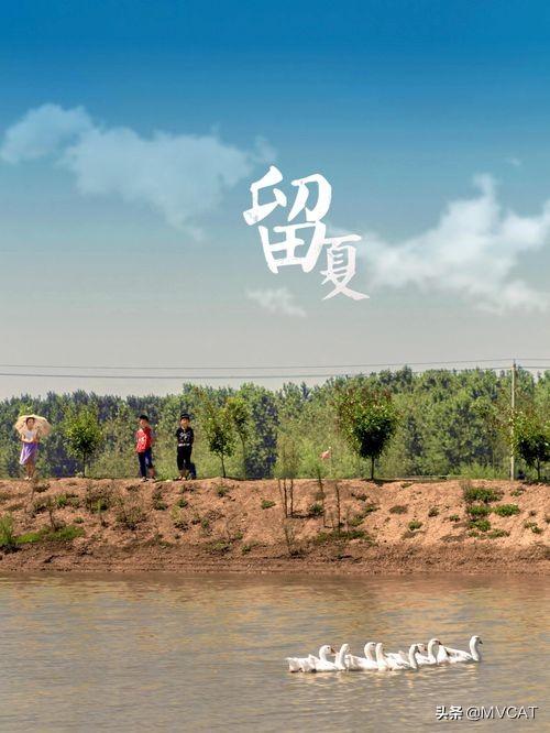 農(nóng)村題材的好看電影有哪些(25部國產(chǎn)農(nóng)村題材電影推薦)(5)