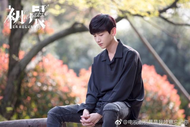 即將上映的電視大劇推薦排行榜（幾部即將上映的電視?。?1)