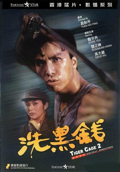 甄子丹拍過的電影大全(甄子丹十部電影代表作)(2)