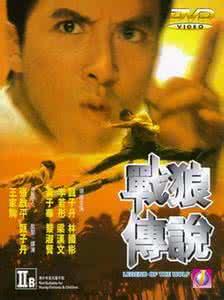 甄子丹拍過的電影大全(甄子丹十部電影代表作)(6)