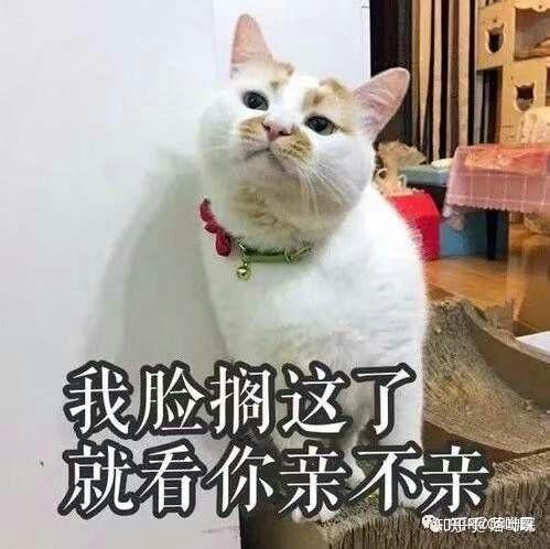 推薦十部超美愛情電影(國外愛情十大經(jīng)典電影)(2)