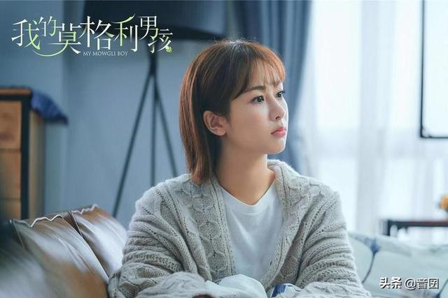 有關(guān)姐弟戀的所有電視劇有哪些(好劇推薦分享24部關(guān)于)(34)