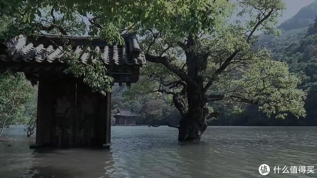 十大必看經(jīng)典韓國(guó)電影(24部精選韓國(guó)高分電影)(63)
