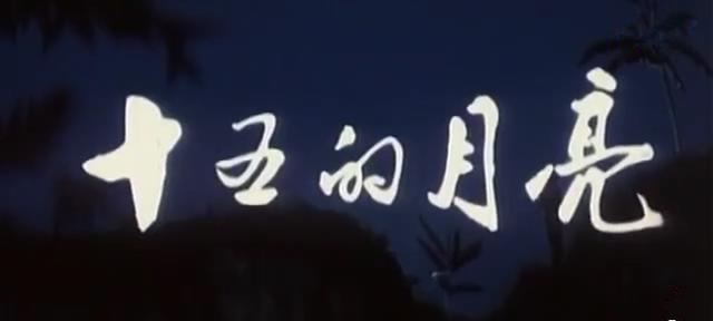這才是真正的對越自衛(wèi)反擊戰(zhàn)電影(10部優(yōu)秀的對越反擊戰(zhàn)電影)(1)