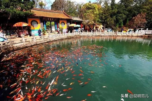 昆明旅游經(jīng)典路線(5條玩轉(zhuǎn)昆明的最佳線路)(27)